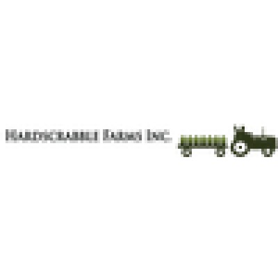 Infrastructure and Operations Lead