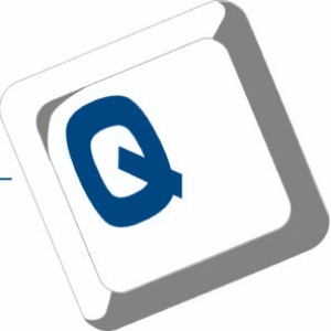IT Consultant