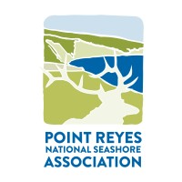 Environmental Volunteer