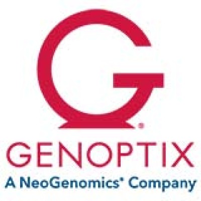 IT Support Tech, Service Desk Lead