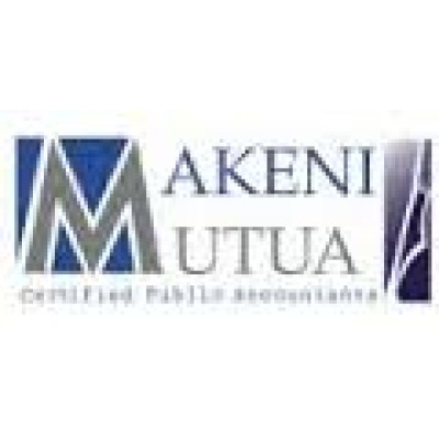 Accounts /Audit Assistant