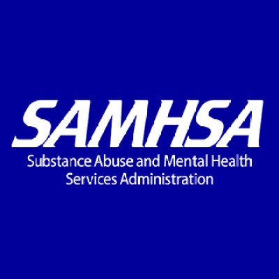 Chief Information Officer (CIO)
