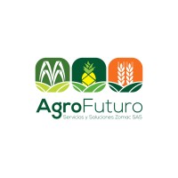Consultor
