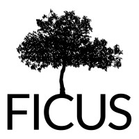 Development Director