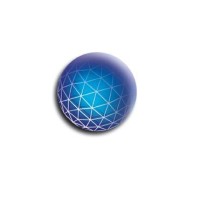 Management Consultant