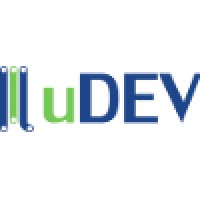 Software Developer