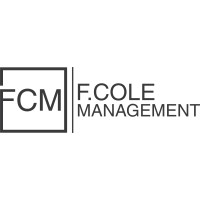 Strategy Director
