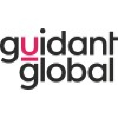 Implementation Project Manager