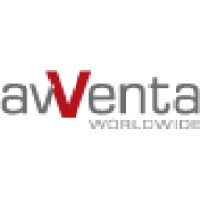 Software Enginner