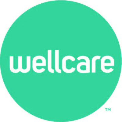 Senior Project Manager - Contractor