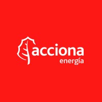 Coordinador de Proyectos