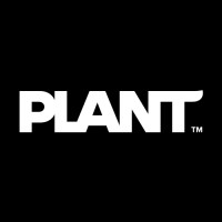 Intern - interactive designer
