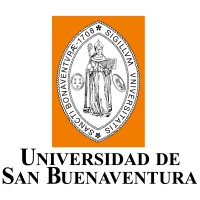 Docente Investigadora