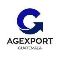 Diseñador gráfico autónomo