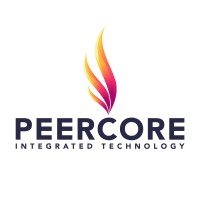 Analyst Programmer | DBA | Business Analyst