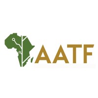 Programme Officer - Programme Development and Commercialization Directorate (PDCD)