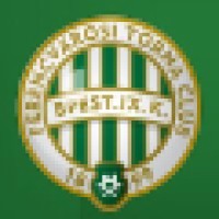 Futbolista Profesional