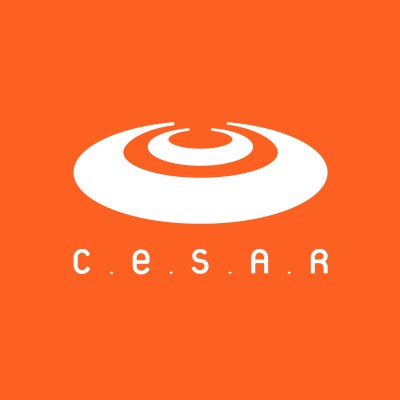 Software Engineer