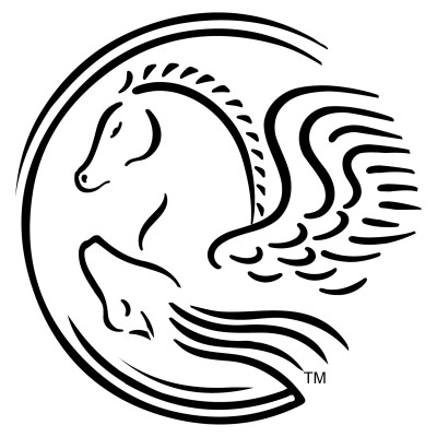 Director Of Information Technology