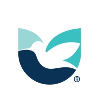 Biomedical Engineer