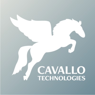 Data Engineer
