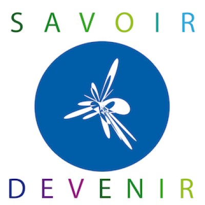 Animateur MOOC YouVerify!