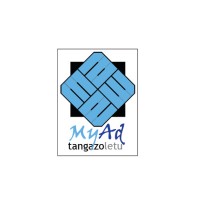 Software Engineer
