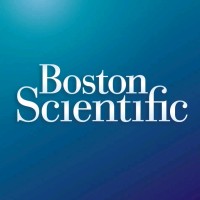 Senior Business Analyst