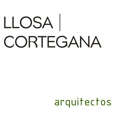 Junior Architect