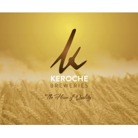 Consulting Sales and Marketing Director