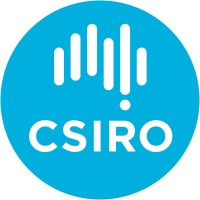 Director - Indonesia