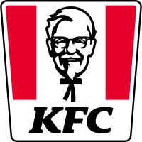 CFO & Chief Accountant
