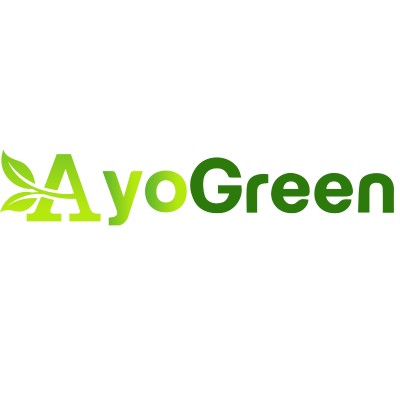 Senior Software Engineer