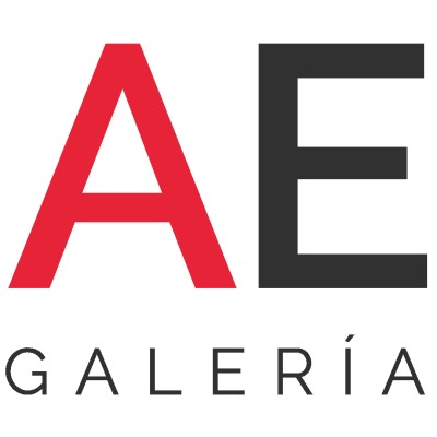 Artista visual en Artespacio