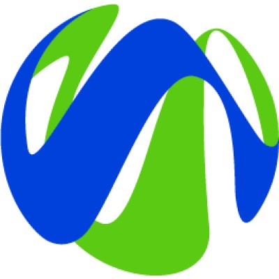 Project Manager