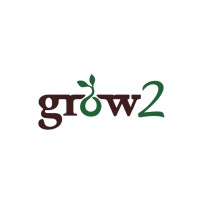 Business Analyst
