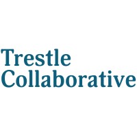 Lead Engineer and Consultant