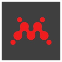 Paid Social Campaign Manager