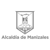 Consultor en emprendimiento
