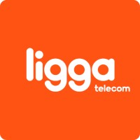 Senior Project Manager