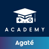 Game Programmer
