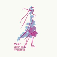 Director de proyecto