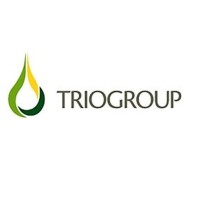 Ingeniero de Inteligencia de Negocio.