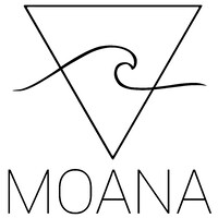 Surf shop owner (company sold in 2023)