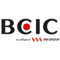Business Analyst