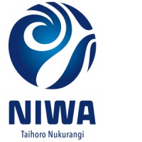 Senior Software Engineer