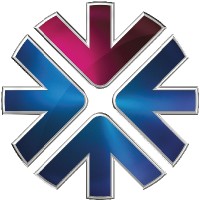 AVP - Market & Segmentation Head