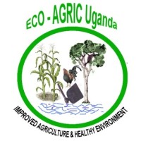 Chairperson, International Board of Directors (NGO)