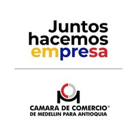 Profesional de Apoyo