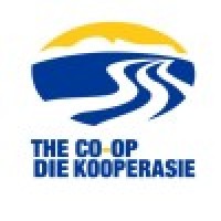 Management Accountant